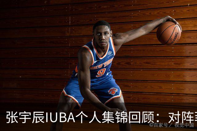 张宇辰IUBA个人集锦回顾：对阵菲律宾末节连进4记三分