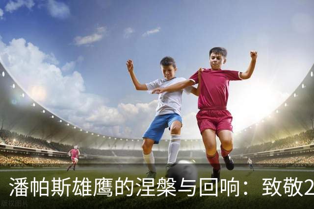 潘帕斯雄鹰的涅槃与回响：致敬2026的亚军，也致敬不屈的灵魂